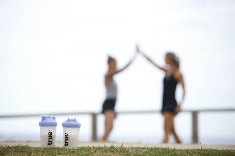 protein shakers